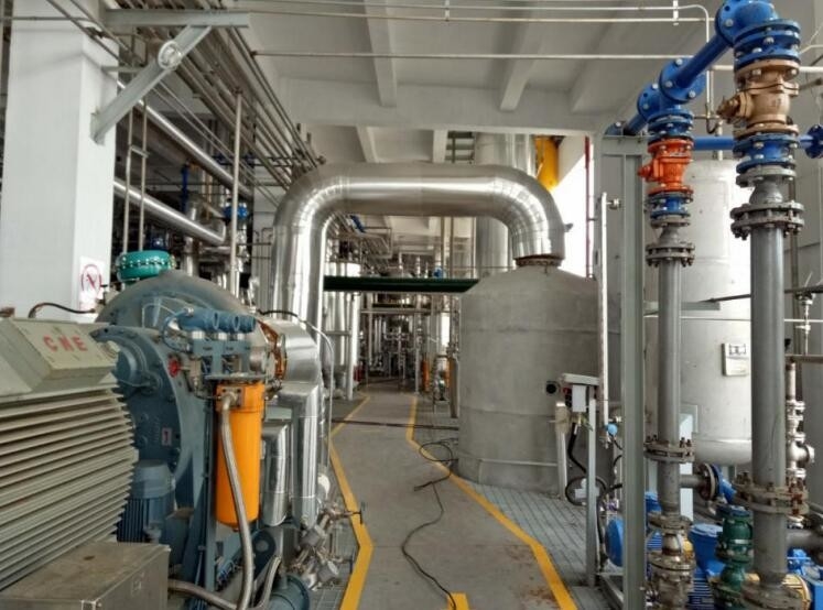 Zero Liquid Discharge Mechanical Recompression Evaporator For Dairy Glucose Organic Acid
