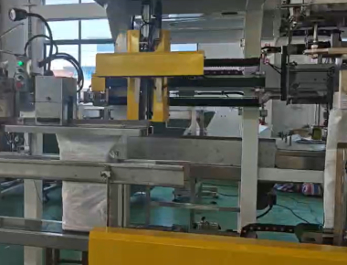 Dual-Lane Salt Packaging Machine Line - High-Capacity Salt Packaging Solution