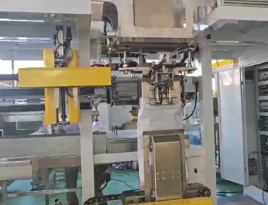 High Speed VFFS Salt Packaging Machine for 50g to 2kg Pouches